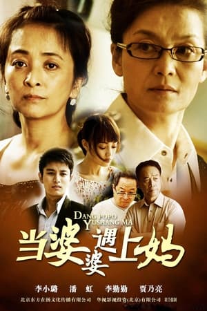 当婆婆遇上妈