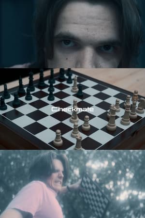 Checkmate(2024电影)