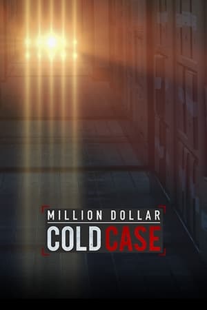 Million Dollar Cold Case