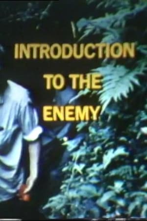 Introduction to the Enemy