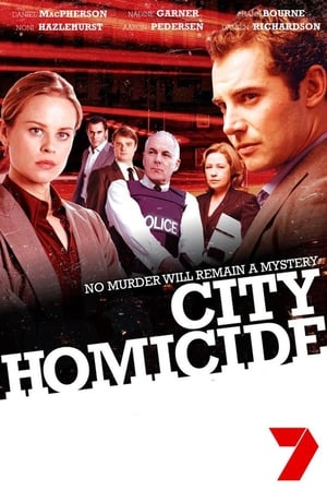 City Homicide第2季