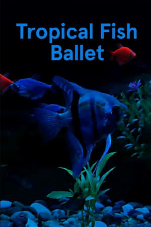 Tropical Fish Ballet