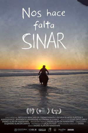 Nos hace falta Sinar