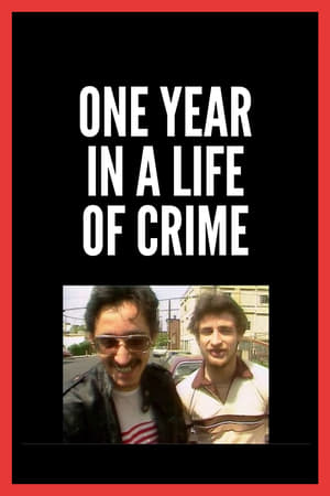 犯罪生活中的一年