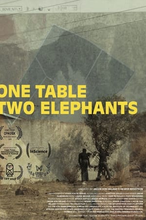 One Table Two Elephants