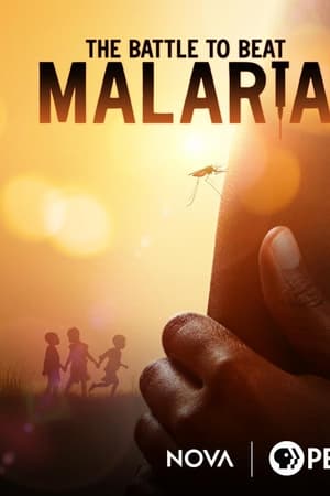 La batalla contra la malaria