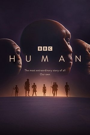 Human