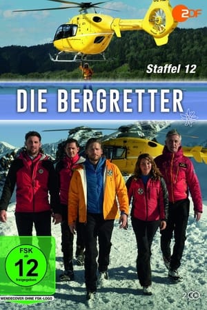 Die Bergretter第12季