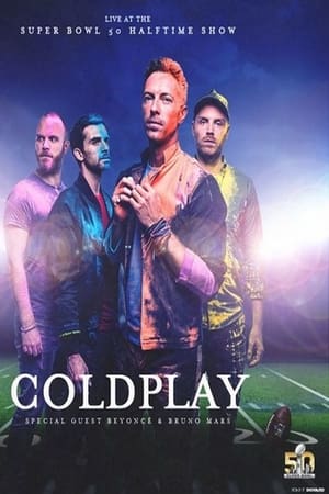 Super Bowl 50 - Halftime Show - Coldplay