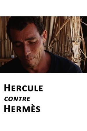 Hercule contre Hermès