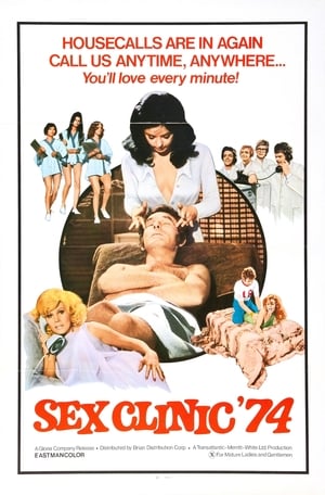 Junge Mädchen mögen's heiß, Hausfrauen noch heißer(1973电影)