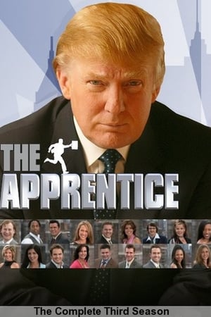 The Celebrity Apprentice第3季