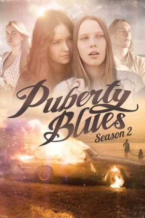 Puberty Blues第2季