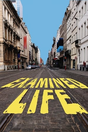 受审视的生活：哲学就在街头巷尾
