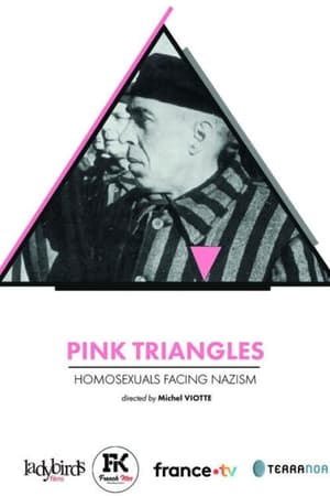 Triangles roses, les homosexuel.le.s face au nazisme