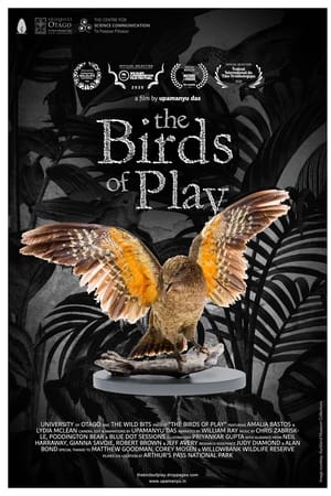 The Birds of Play