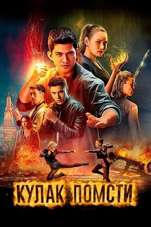 复仇铁拳
