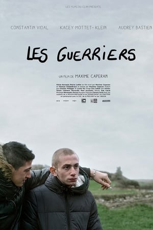 Les guerriers(2015电影)