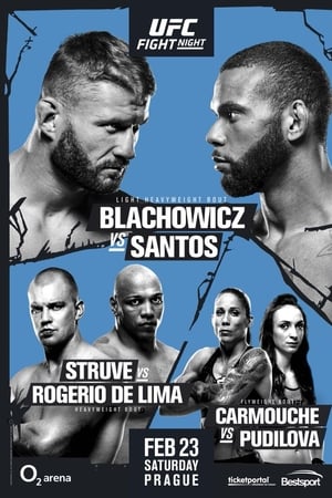UFC Fight Night 145: Błachowicz vs. Santos