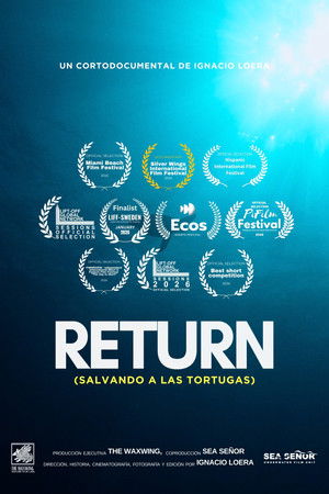 Return: Salvando a las Tortugas