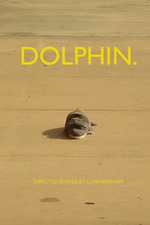 dolphin.
