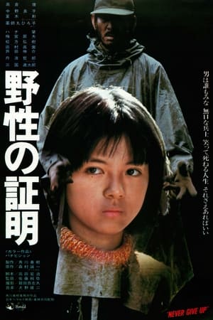 野性的证明