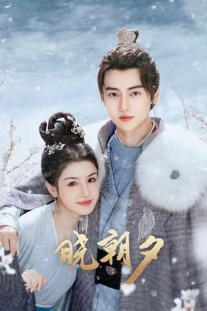 晓朝夕