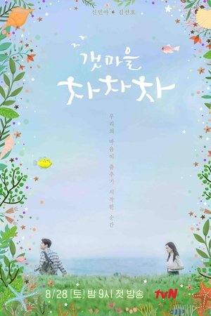 海岸村恰恰恰