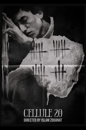Cellule 20