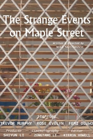 The Strange Events on Maple Street