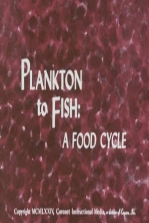 Plankton to Fish: A Food Cycle