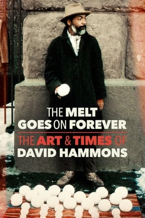 融化永不停息：大卫·哈蒙斯的艺术与时代