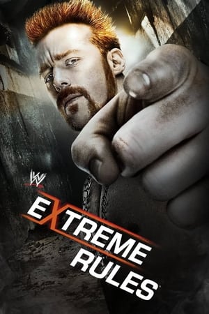 WWE:极限规则 2013