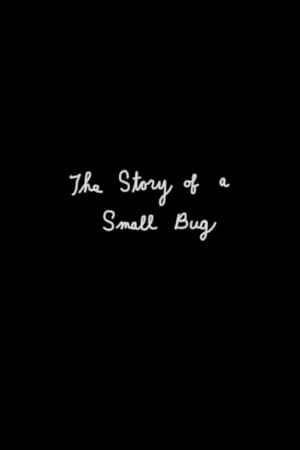 The Story of a Small Bug