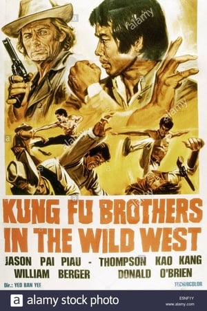 Kung Fu nel pazzo west