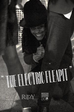The Electric Fleapit