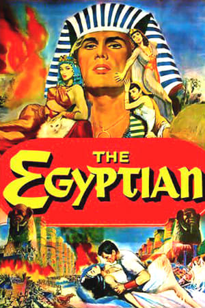 埃及人
