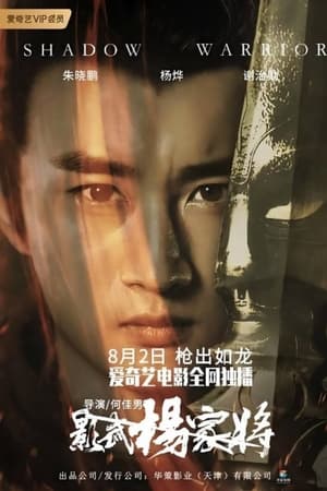 影武杨家将