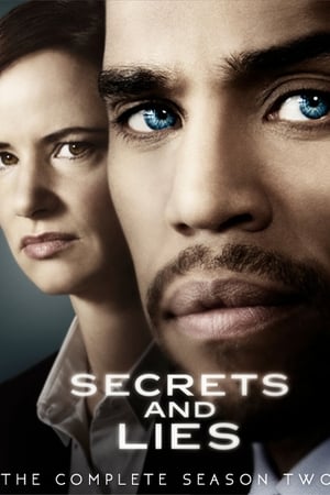 秘密与谎言第2季