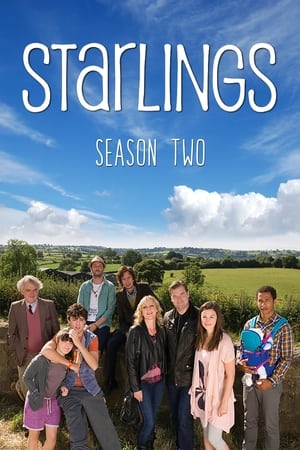 Starlings第2季