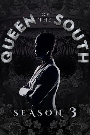 南方女王第3季