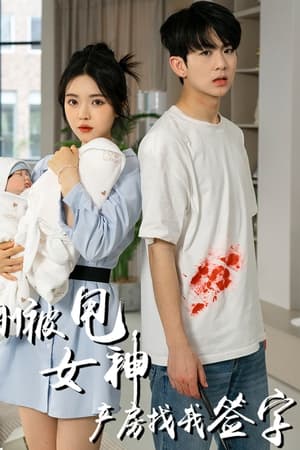 刚被甩女神产房找我签字(2024电视剧集)