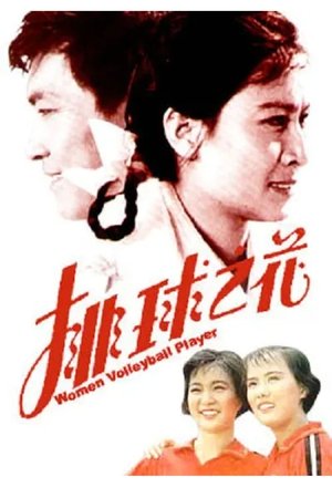 排球之花