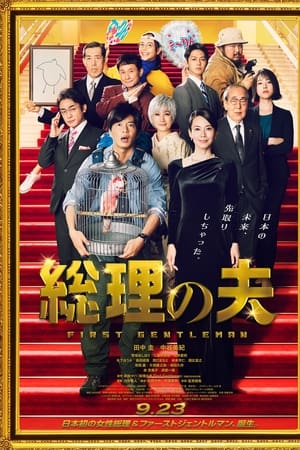 总理之夫