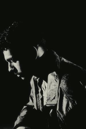 Sombras da Lei