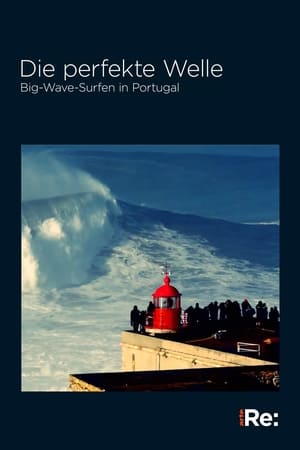 Die perfekte Welle: Big-Wave-Surfen in Portugal
