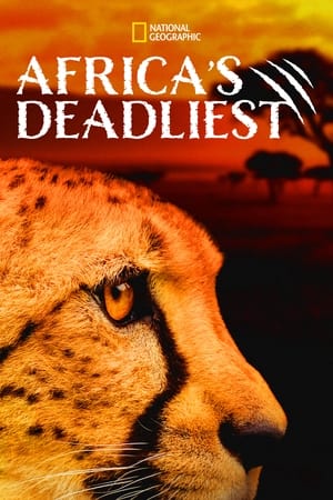 非洲最致命动物第4季