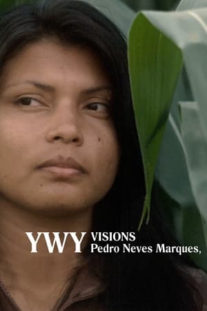 YWY, Visions