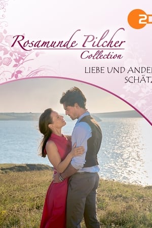 Rosamunde Pilcher - Liebe und andere Schätze