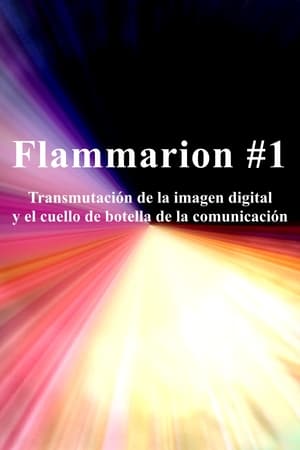 Flammarion #1: Transmutación de la imagen digital y el cuello de botella de la comunicación